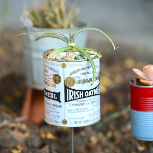 ReclaimedIrishOatmeal